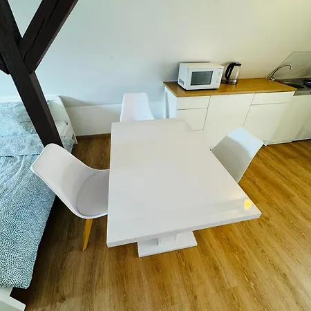 Grosszuegiges Apartment Am Rhein In Koblenz-Neuendorf Lejlighed *